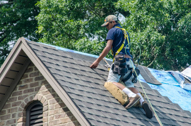 Best Shingle Roofing Installation  in Mauriceville, TX